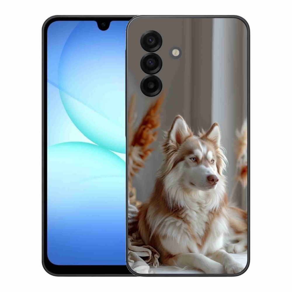 Gélový kryt mmCase na Samsung Galaxy A17 4G/5G - pokojný sibírsky husky