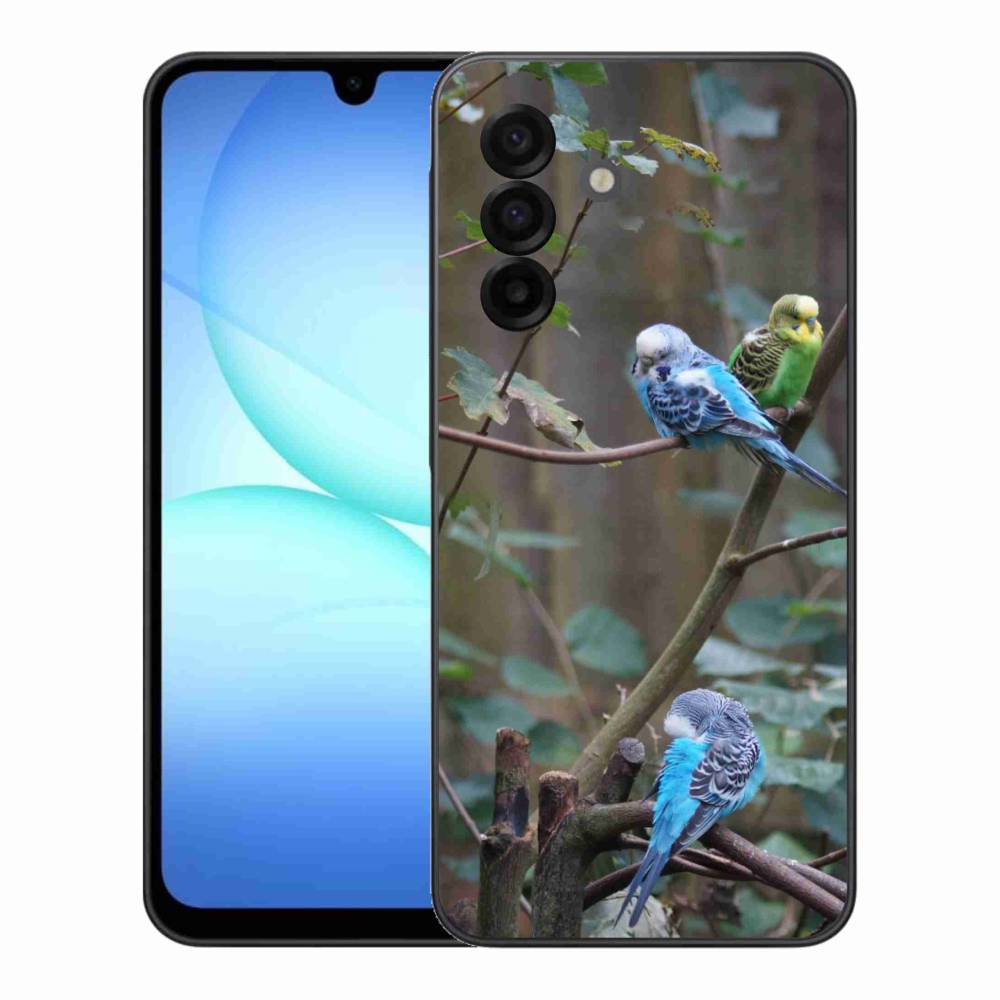 Gélový kryt mmCase na Samsung Galaxy A17 4G/5G - papagáje na vetve