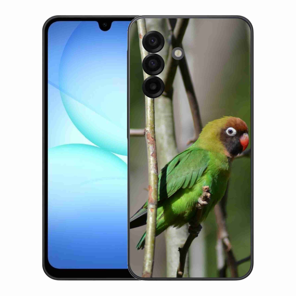 Gélový kryt mmCase na Samsung Galaxy A17 4G/5G - papagáj agapornis