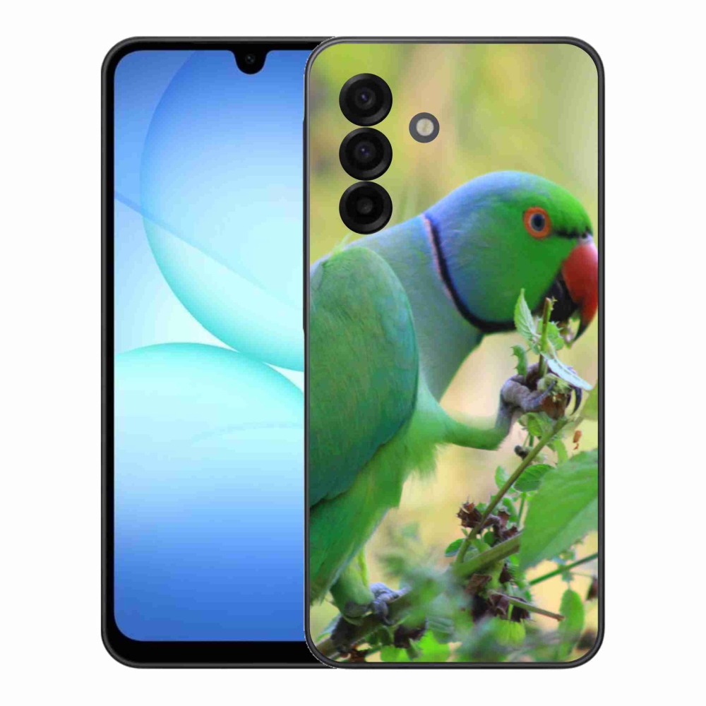Gélový kryt mmCase na Samsung Galaxy A17 4G/5G - papagáj Alexandr