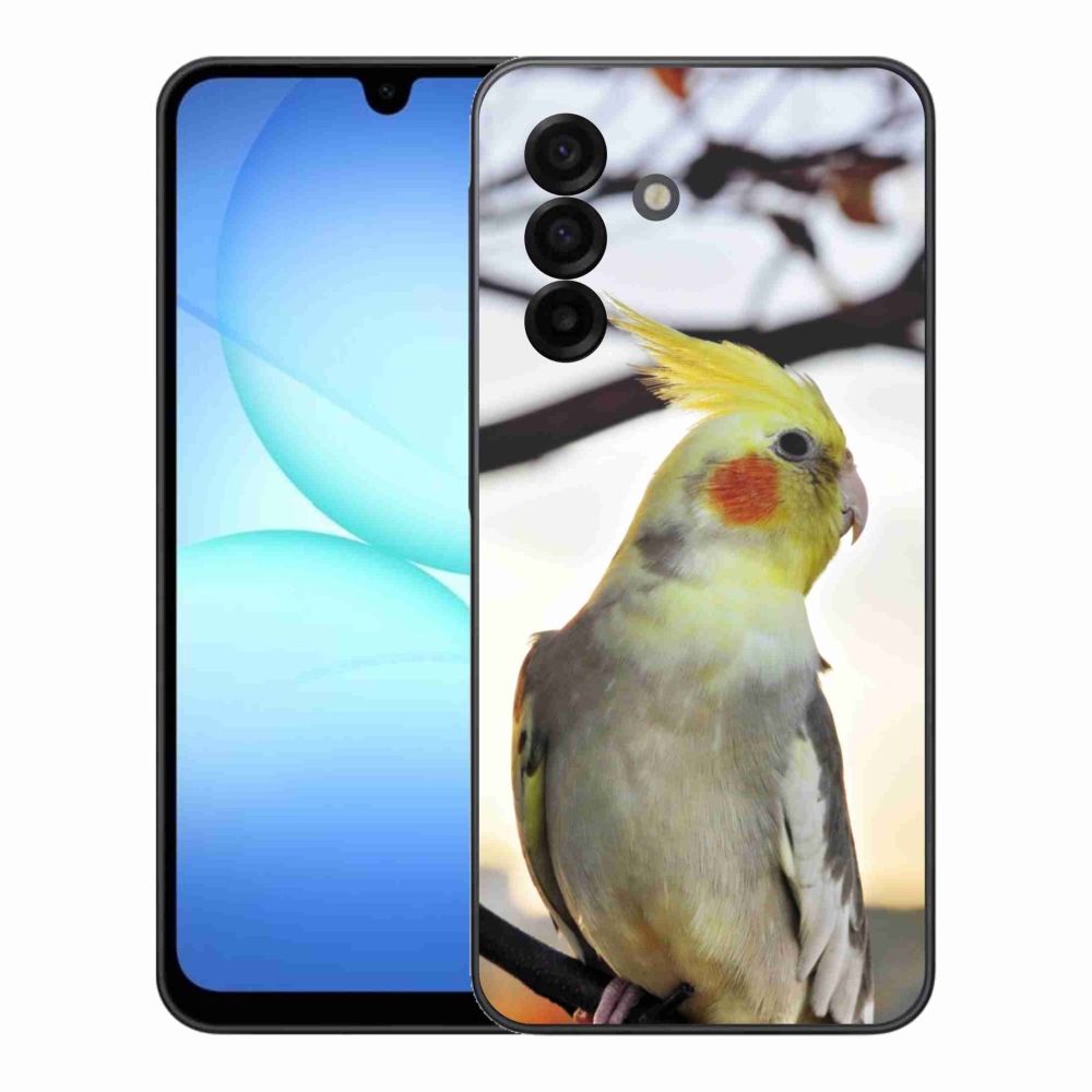 Gélový kryt mmCase na Samsung Galaxy A17 4G/5G - papagáj korela