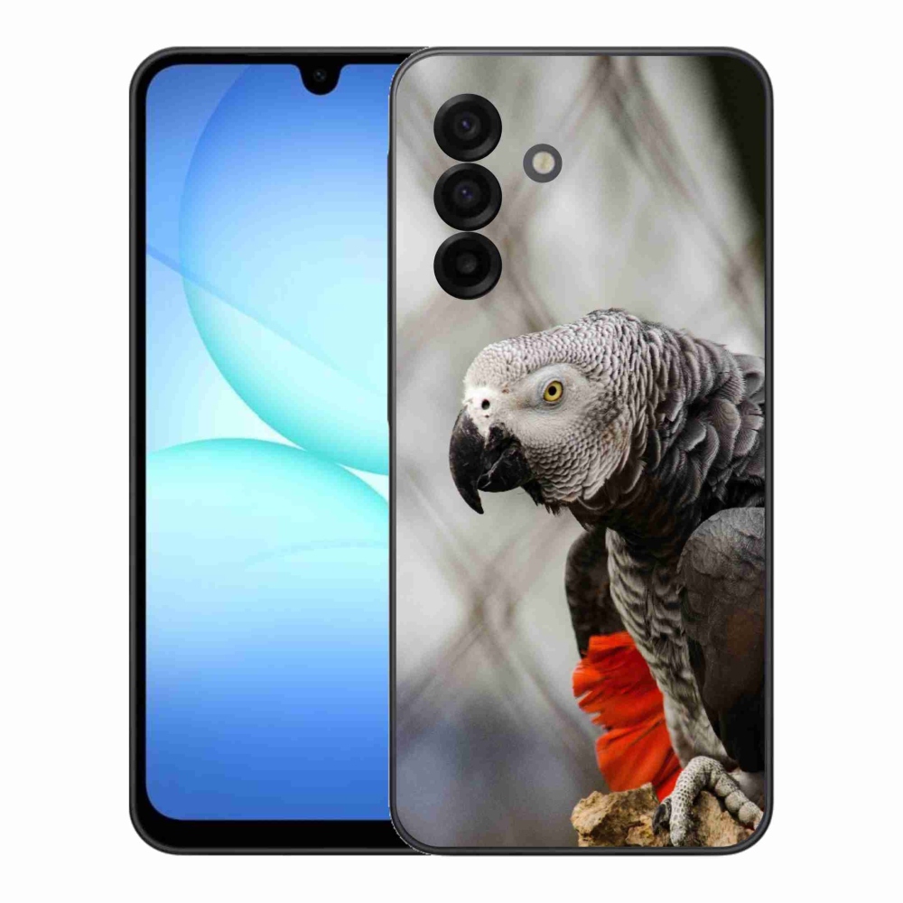 Gélový kryt mmCase na Samsung Galaxy A17 4G/5G - papagáj žako 3