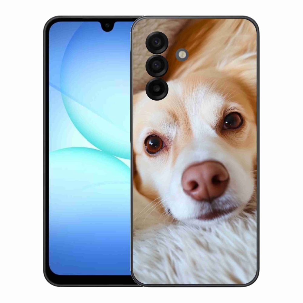 Gélový kryt mmCase na Samsung Galaxy A17 4G/5G - Roztomilá čivava