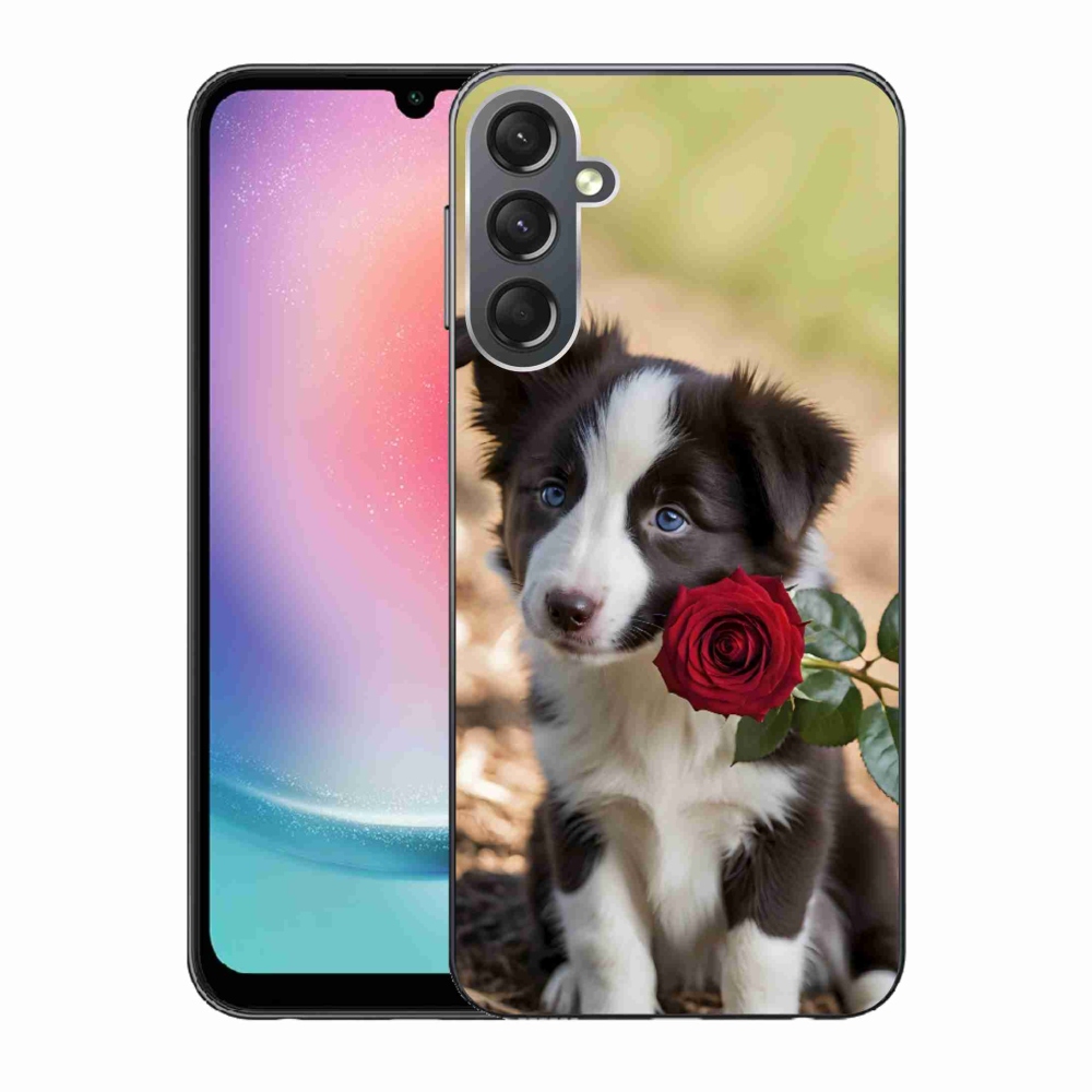 Gélový kryt mmCase na Samsung Galaxy A24 - roztomilá border kólia s ružou