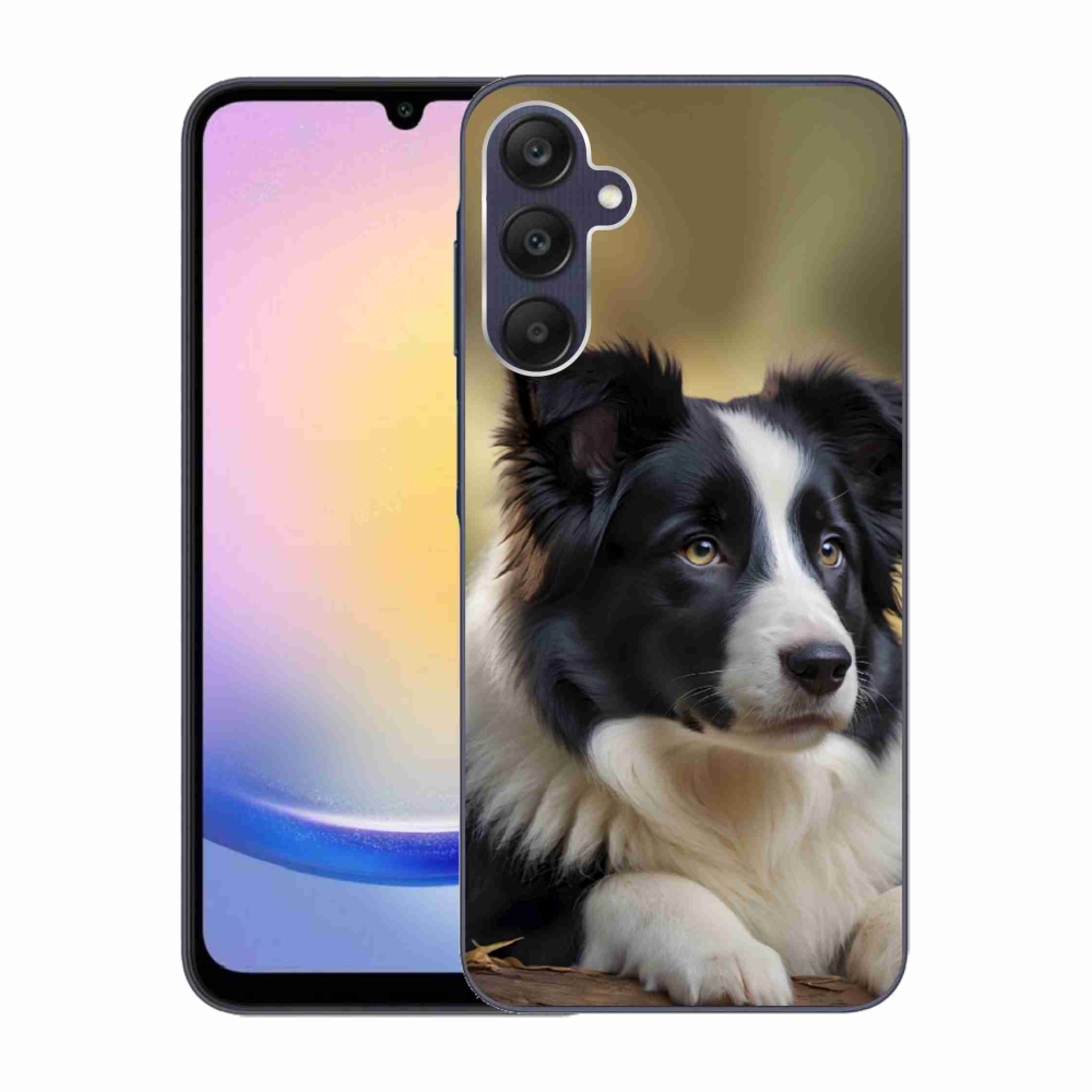 Gélový kryt mmCase na Samsung Galaxy A25 5G - border kólia 2