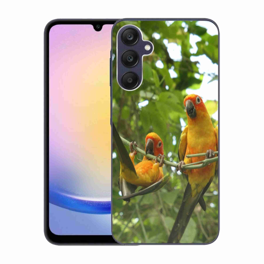 Gélový kryt mmCase na Samsung Galaxy A25 5G - papagáje aratingy