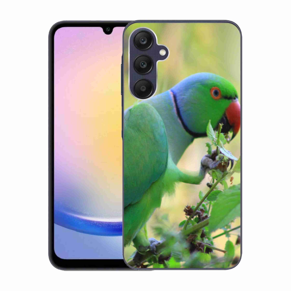 Gélový kryt mmCase na Samsung Galaxy A25 5G - papagáj Alexandr