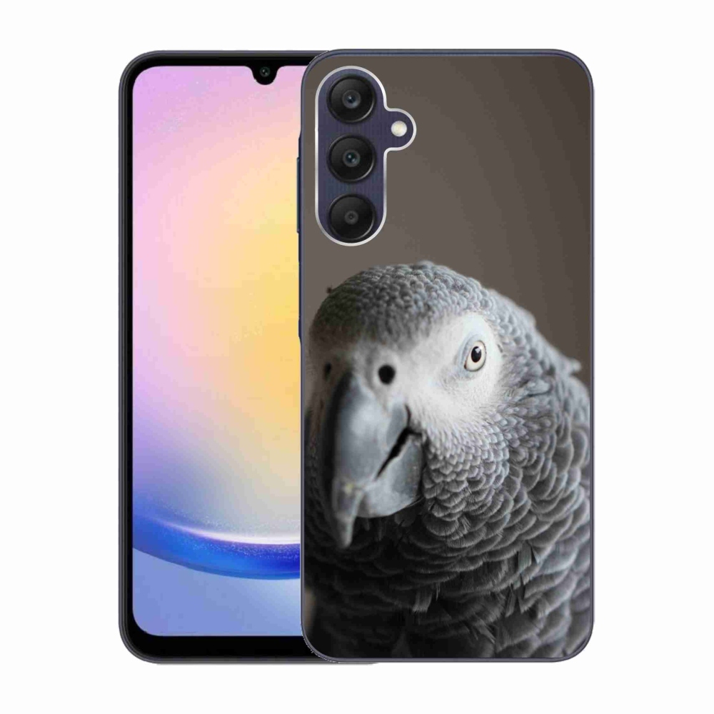 Gélový kryt mmCase na Samsung Galaxy A25 5G - papagáj žako 2