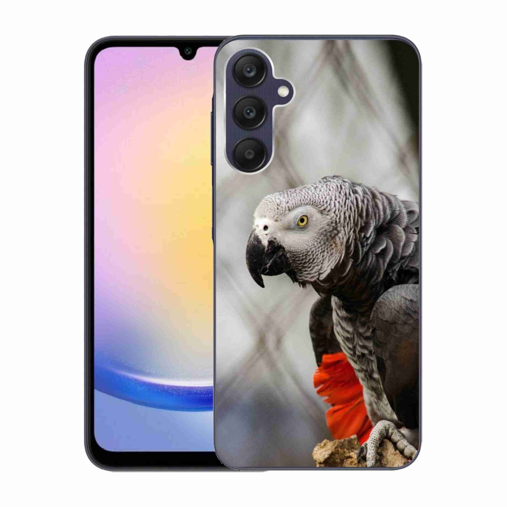 Gélový kryt mmCase na Samsung Galaxy A25 5G - papagáj žako 3