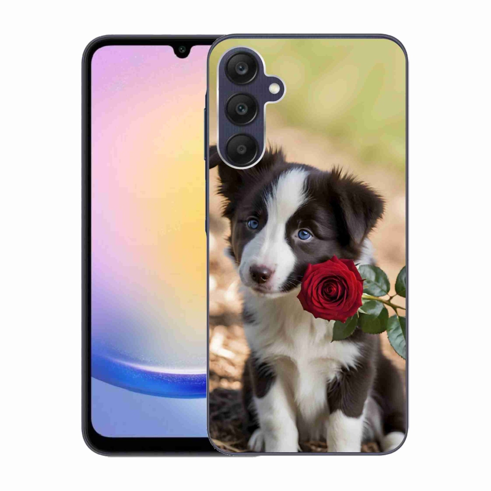 Gélový kryt mmCase na Samsung Galaxy A25 5G - roztomilá border kólia s ružou