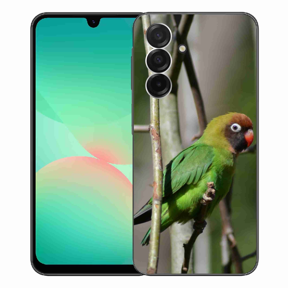Gélový kryt mmCase na Samsung Galaxy A26 5G - papagáj agapornis