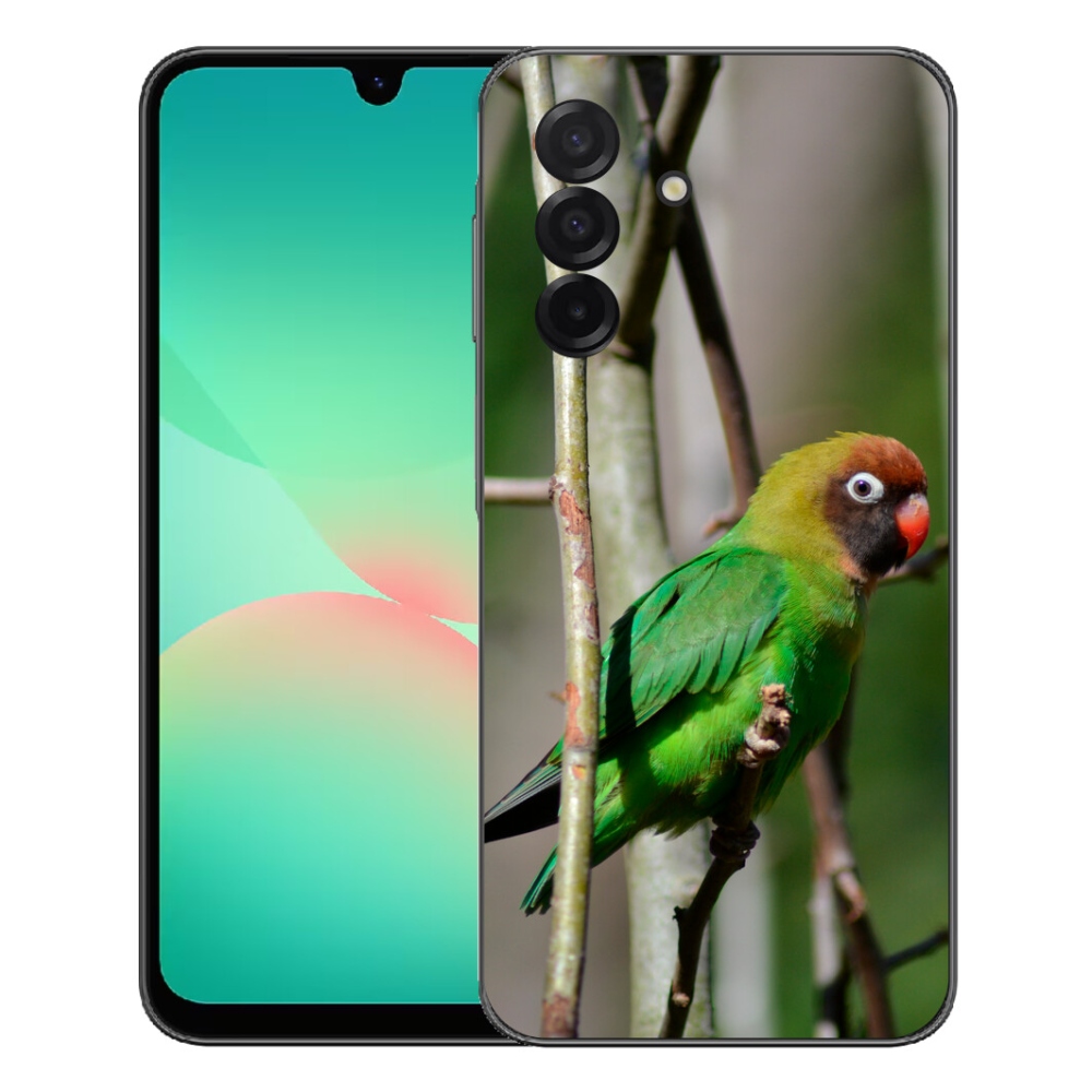 Gélový kryt mmCase na Samsung Galaxy A27 5G - papagáj agapornis