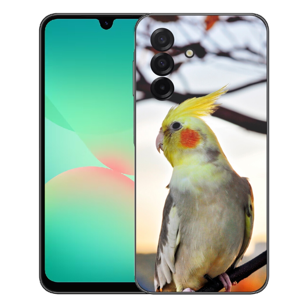 Gélový kryt mmCase na Samsung Galaxy A27 5G - papagáj korela