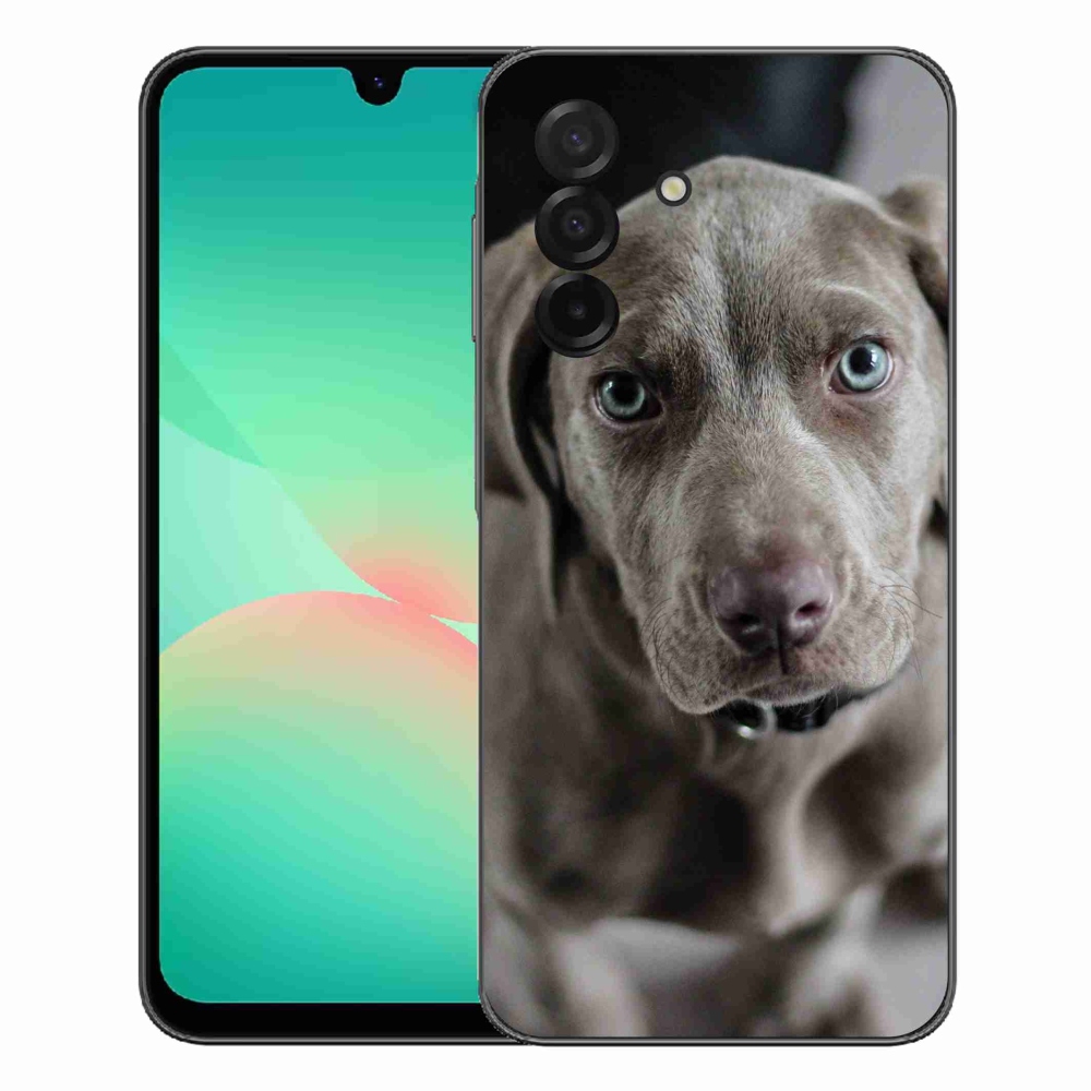 Gélový kryt mmCase na Samsung Galaxy A27 5G - weimarský stavač