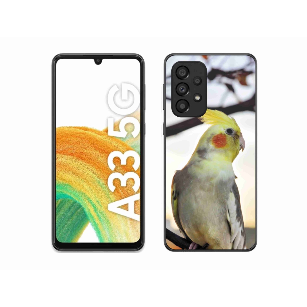 Gélový kryt mmCase na Samsung Galaxy A33 - papagáj korela