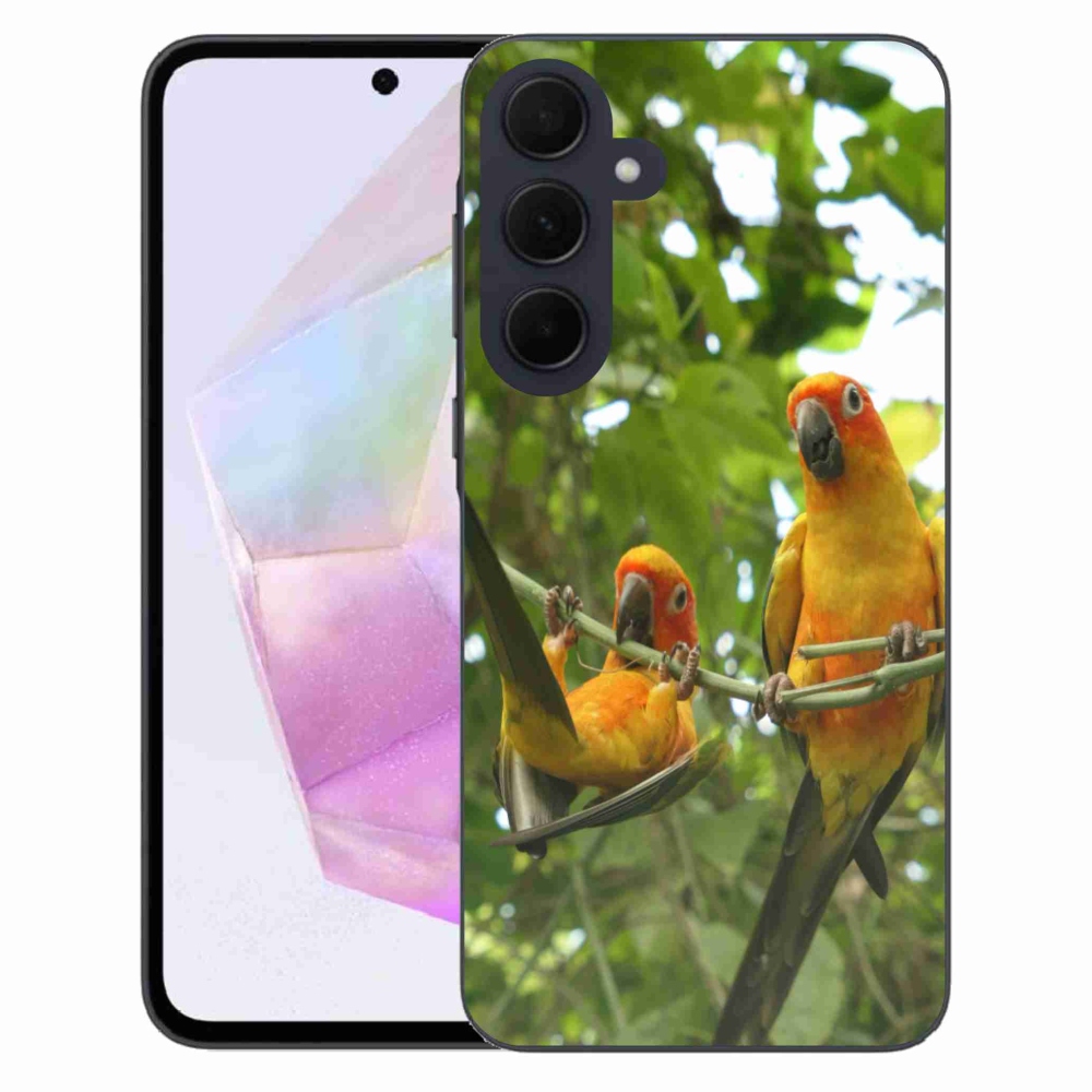 Gélový kryt mmCase na Samsung Galaxy A35 5G - papagáje aratingy