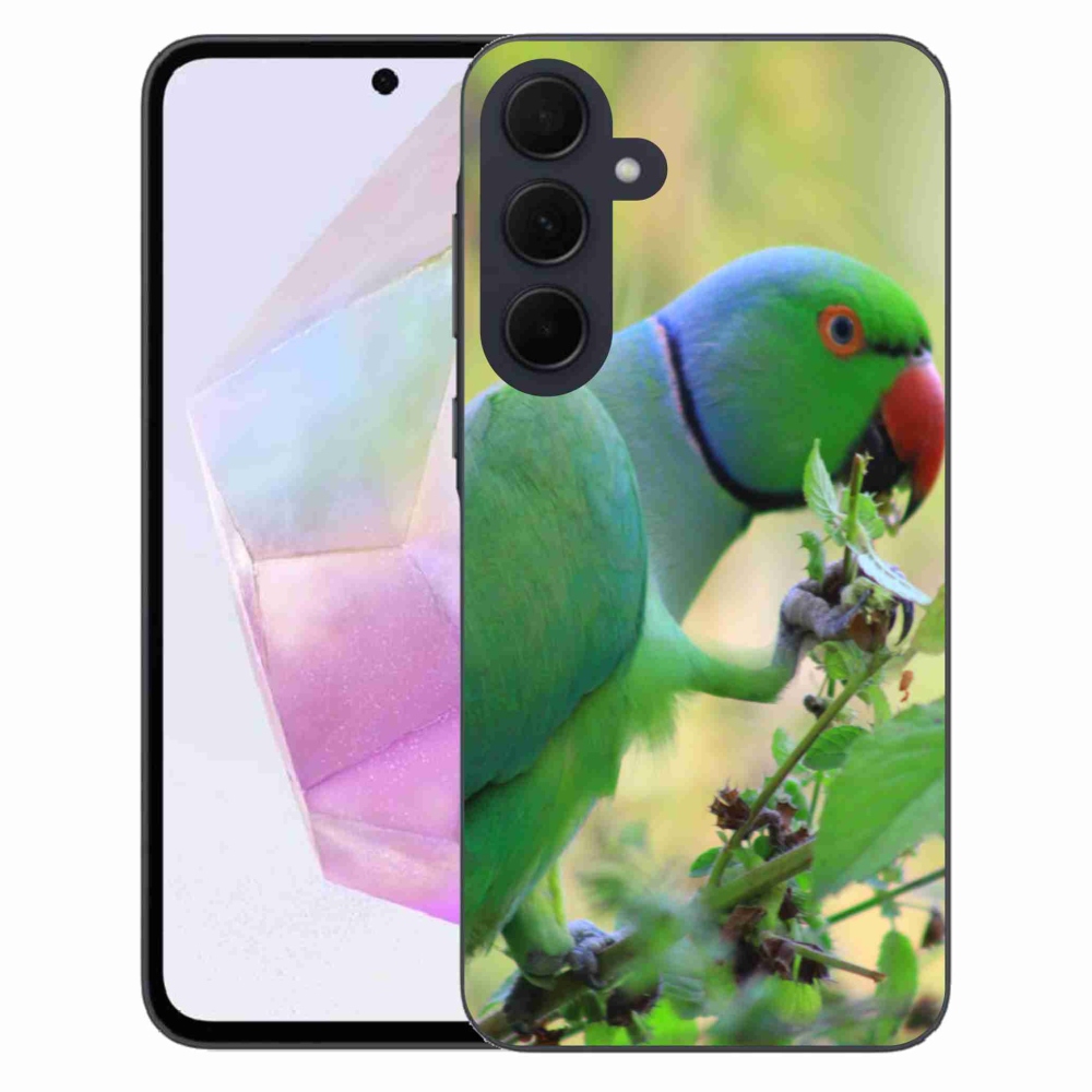 Gélový kryt mmCase na Samsung Galaxy A35 5G - papagáj Alexandr