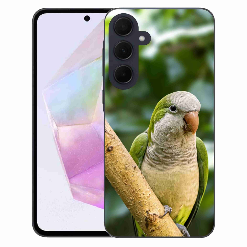 Gélový kryt mmCase na Samsung Galaxy A35 5G - papagáj mníšok