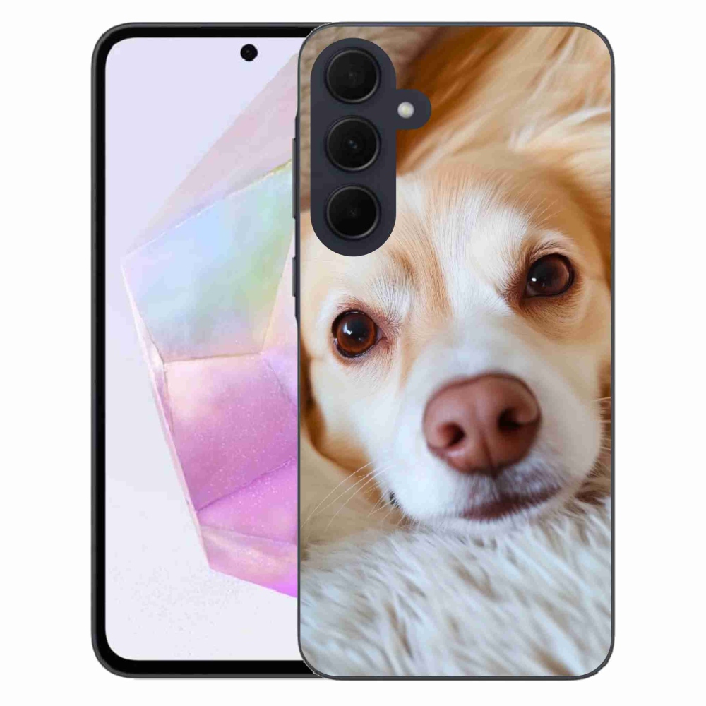 Gélový kryt mmCase na Samsung Galaxy A35 5G - Roztomilá čivava