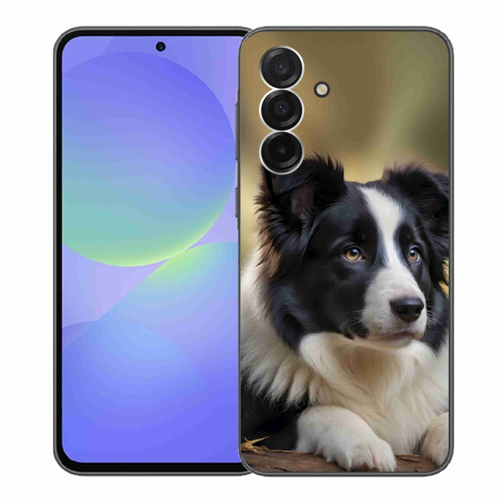 Gélový kryt mmCase na Samsung Galaxy A36 5G - border kólia 2