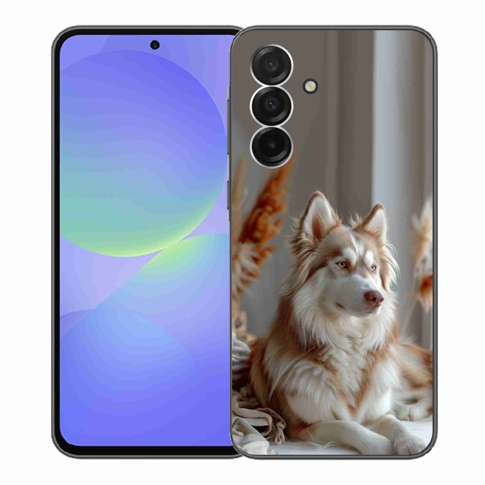 Gélový kryt mmCase na Samsung Galaxy A36 5G - pokojný sibírsky husky