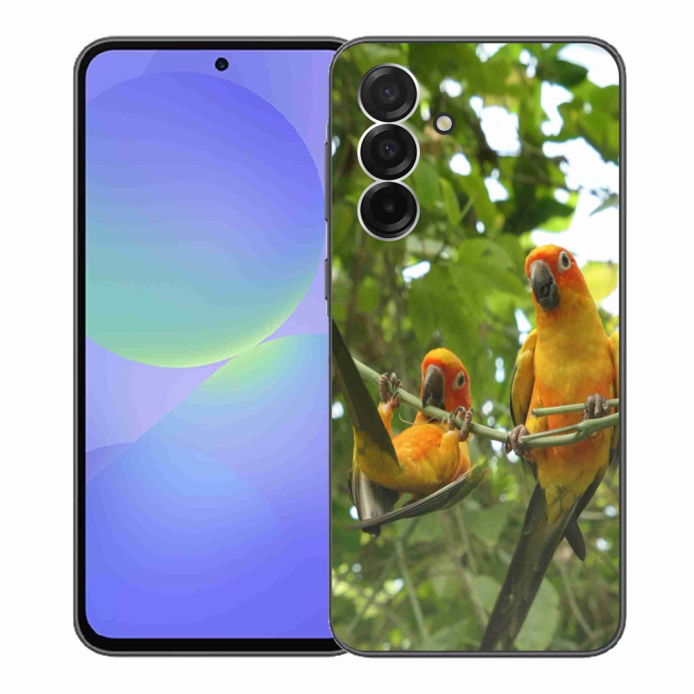 Gélový kryt mmCase na Samsung Galaxy A36 5G - papagáje aratingy