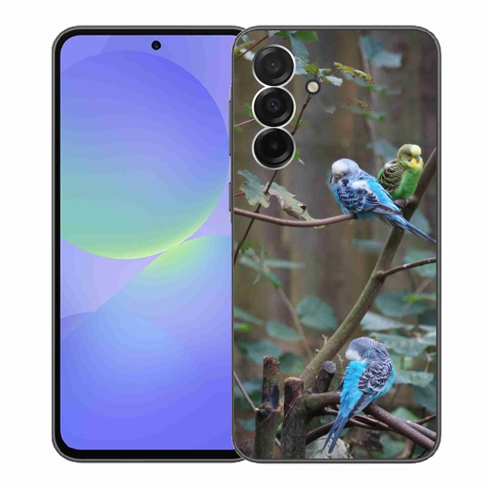 Gélový kryt mmCase na Samsung Galaxy A36 5G - papagáje na vetve