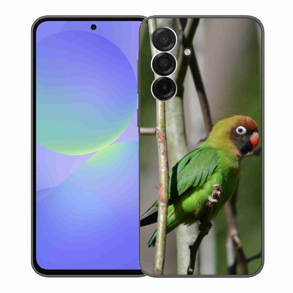 Gélový kryt mmCase na Samsung Galaxy A36 5G - papagáj agapornis