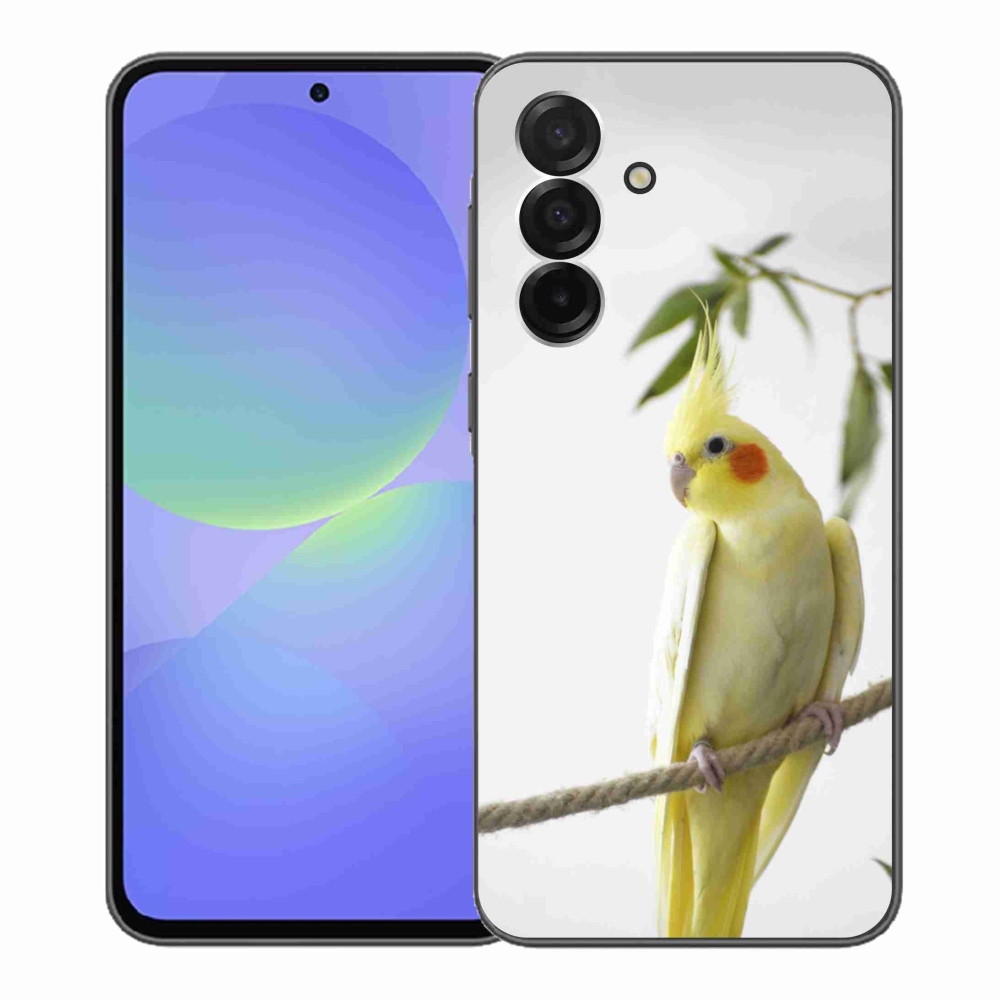 Gélový kryt mmCase na Samsung Galaxy A36 5G - papagáj korela chocholatá