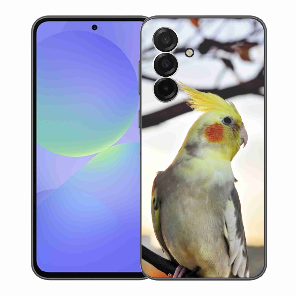 Gélový kryt mmCase na Samsung Galaxy A36 5G - papagáj korela
