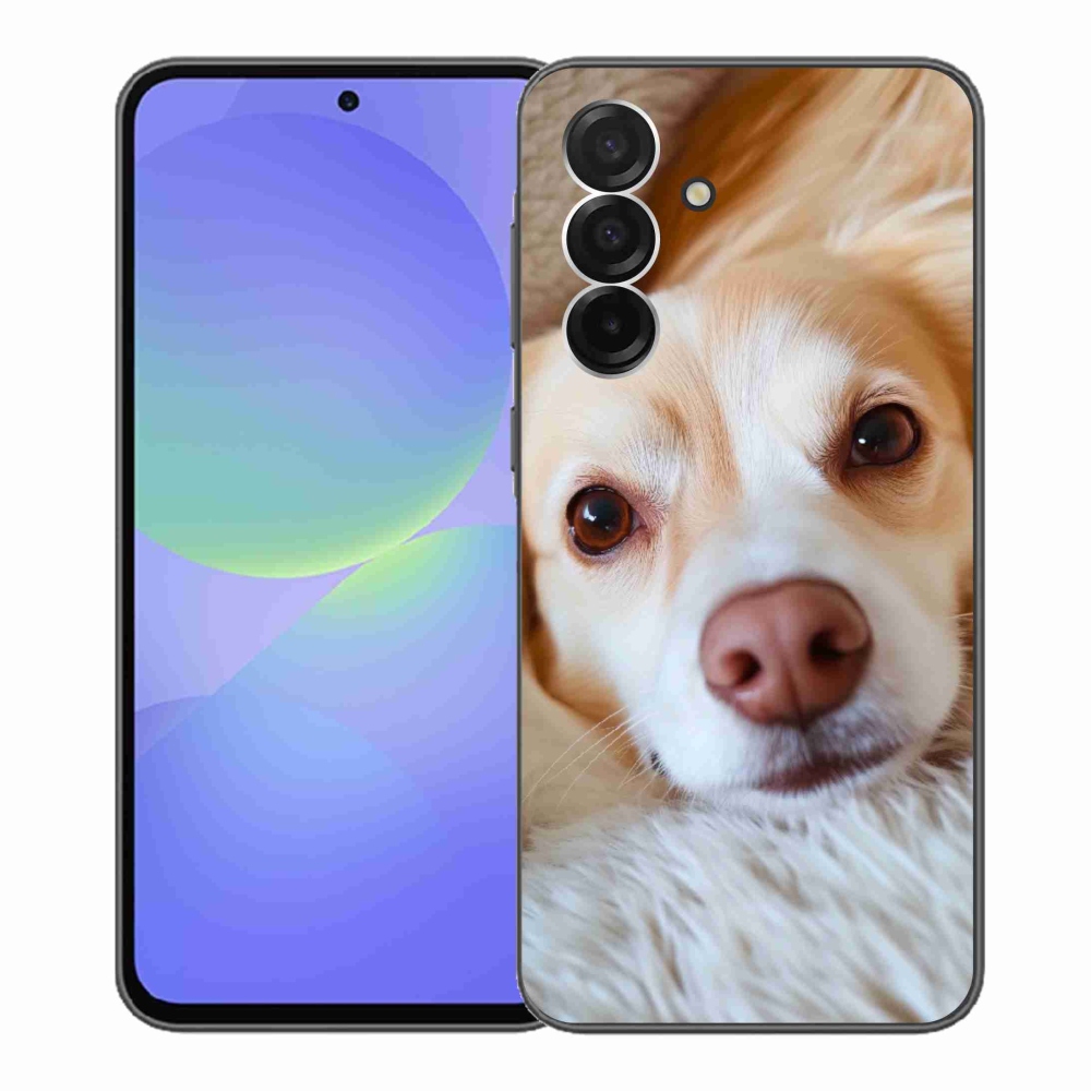 Gélový kryt mmCase na Samsung Galaxy A36 5G - Roztomilá čivava