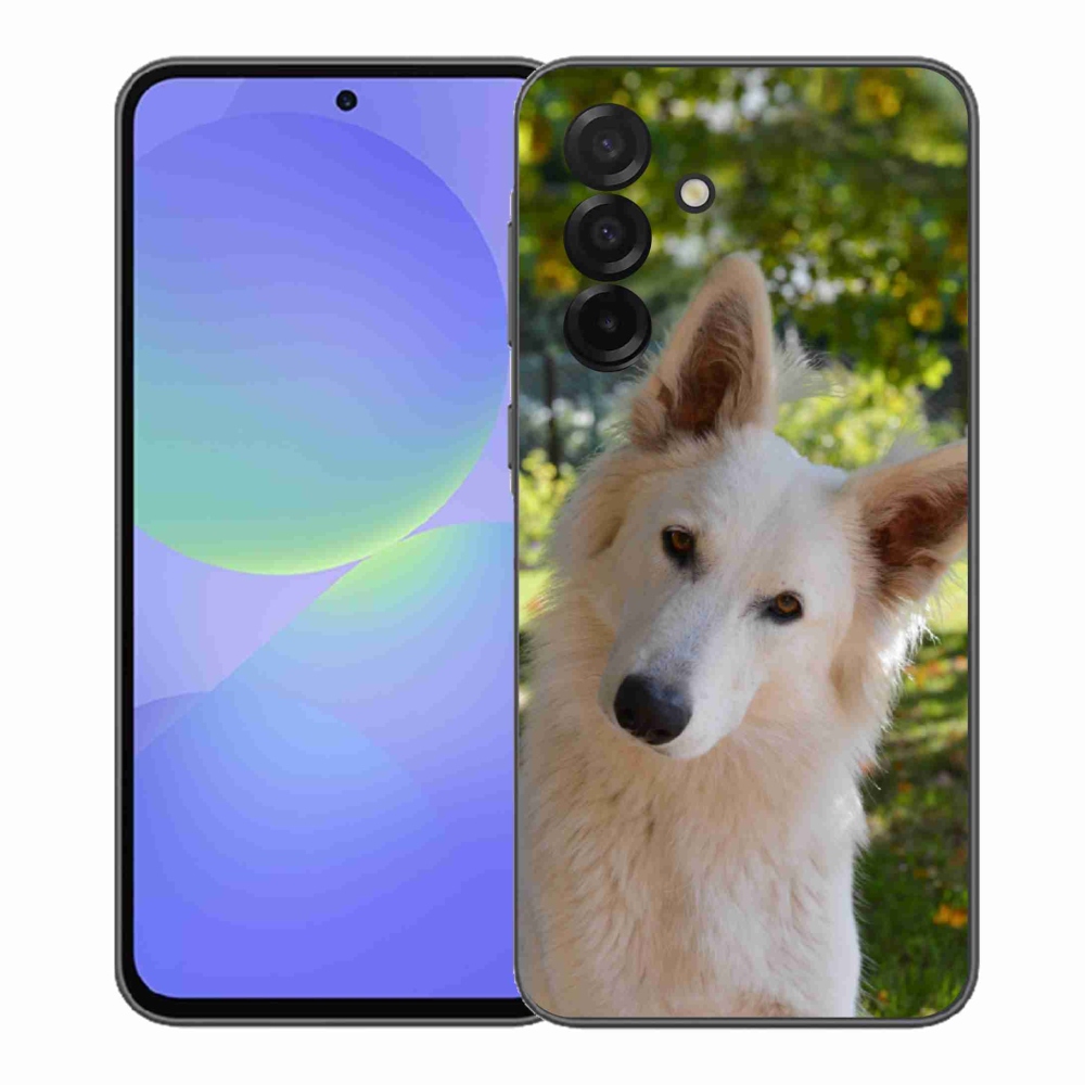 Gélový kryt mmCase na Samsung Galaxy A37 5G - biely švajčiarsky ovčiak 1