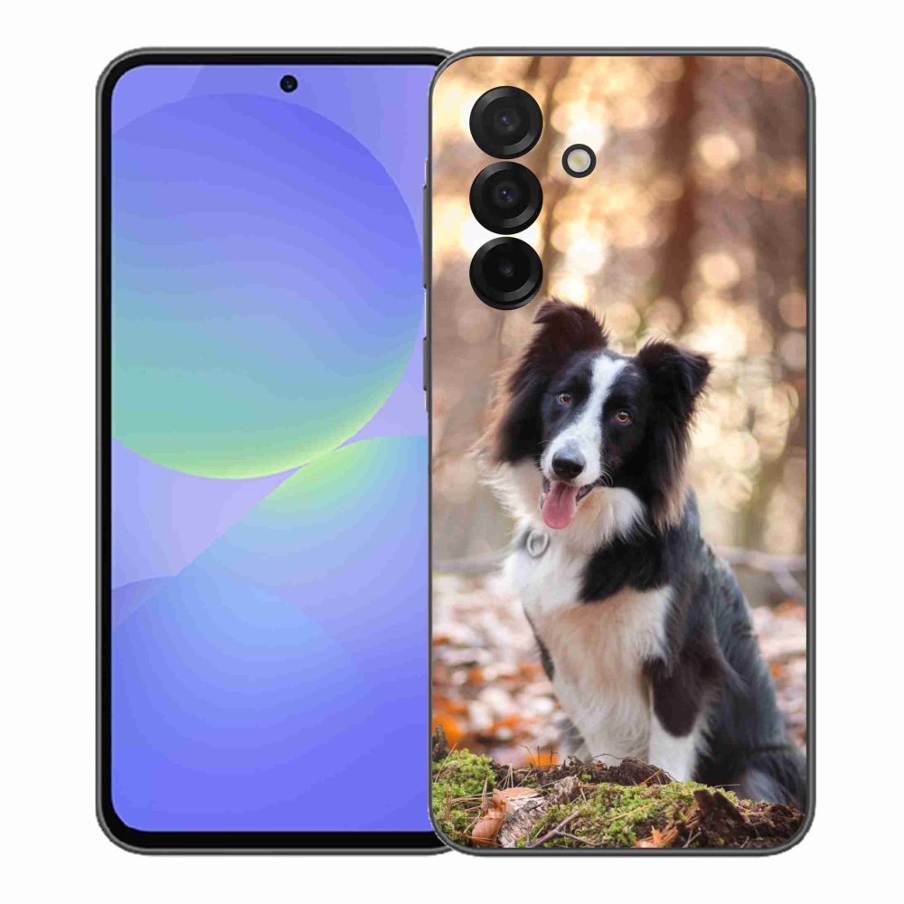 Gélový kryt mmCase na Samsung Galaxy A37 5G - border kólia 1