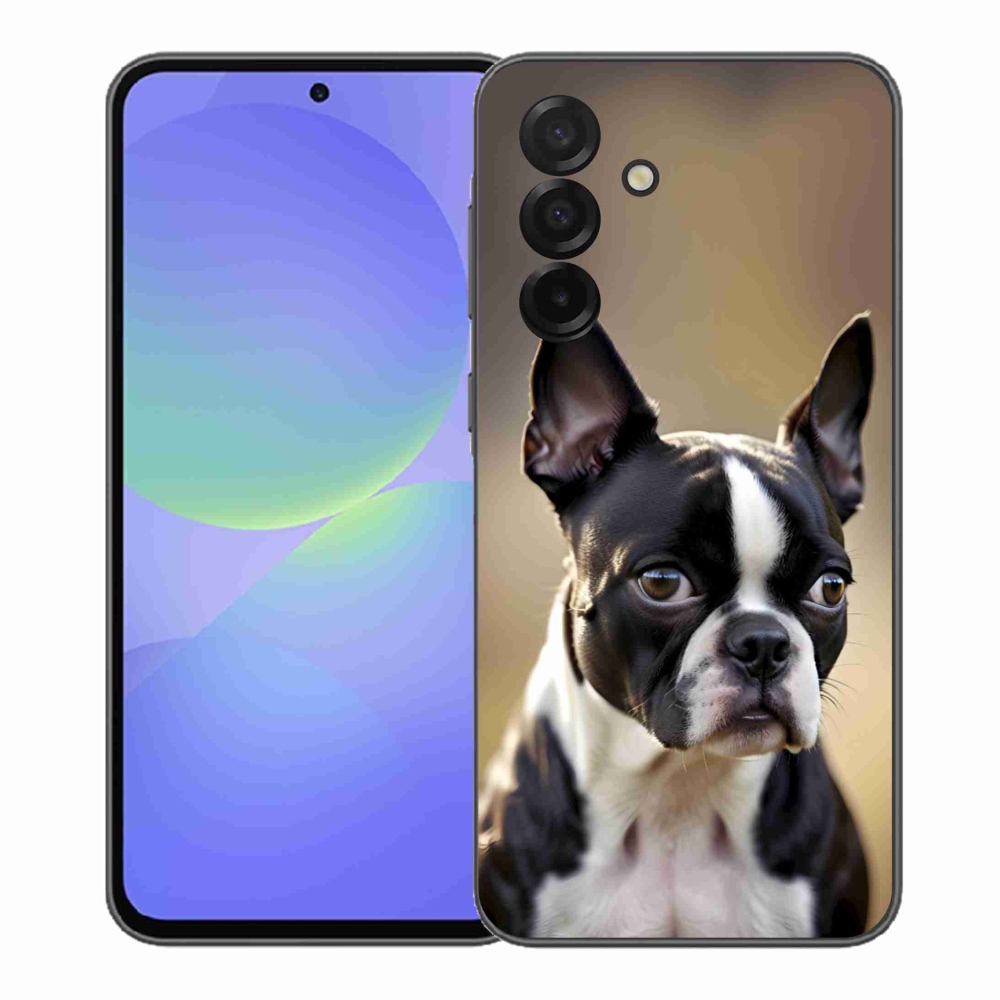 Gélový kryt mmCase na Samsung Galaxy A37 5G - bostonský teriér