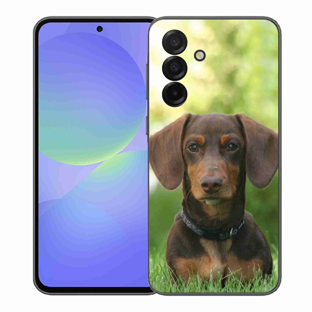 Gélový kryt mmCase na Samsung Galaxy A37 5G - hnedý jazvečík