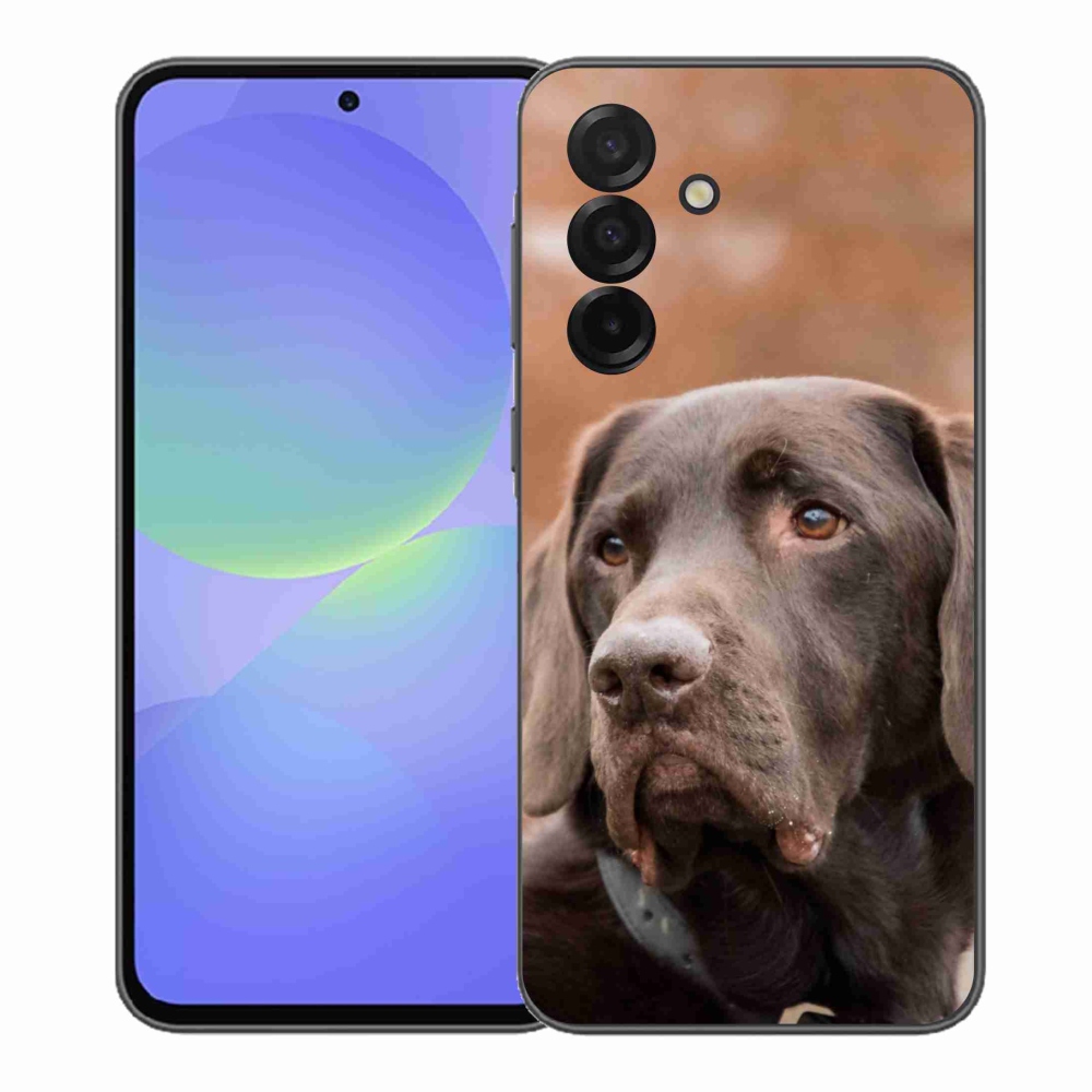 Gélový kryt mmCase na Samsung Galaxy A37 5G - hnedý labrador