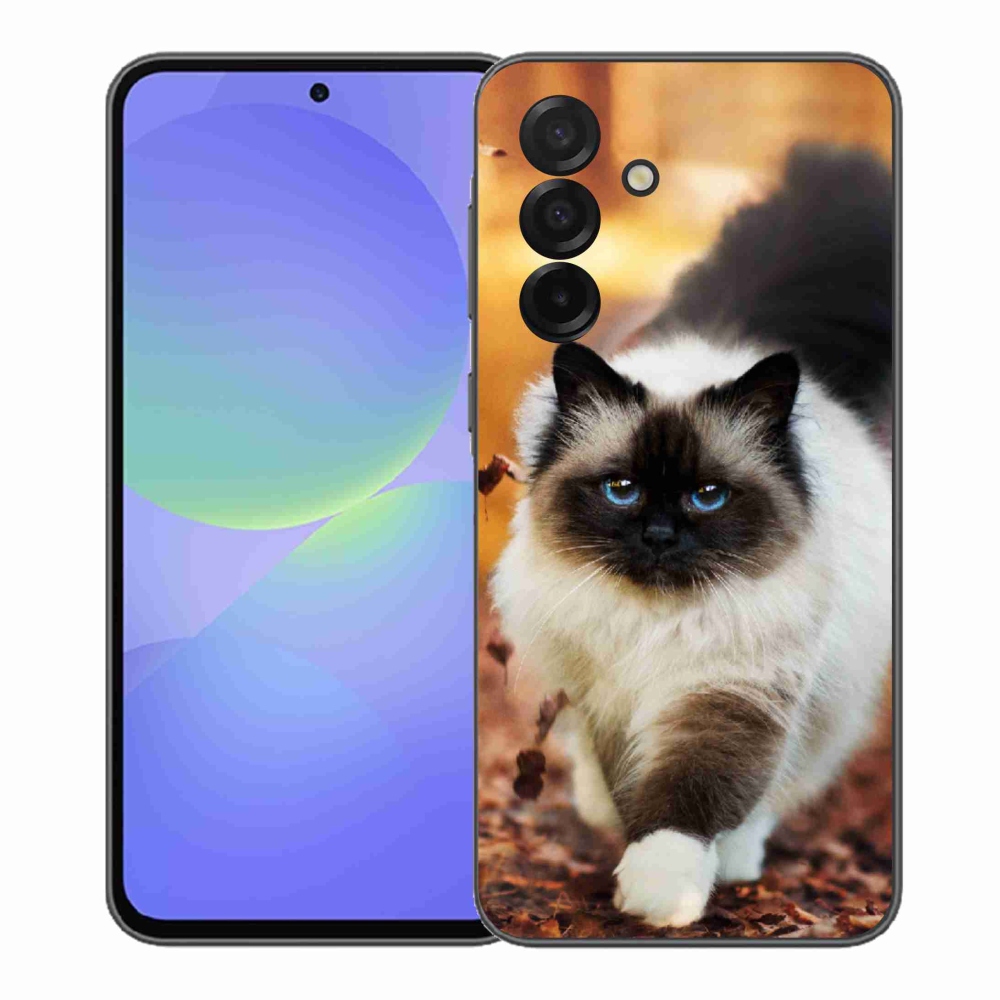 Gélový kryt mmCase na Samsung Galaxy A37 5G - mačka