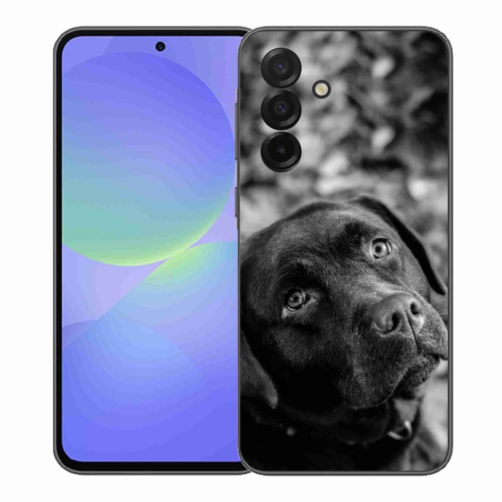 Gélový kryt mmCase na Samsung Galaxy A37 5G - labrador