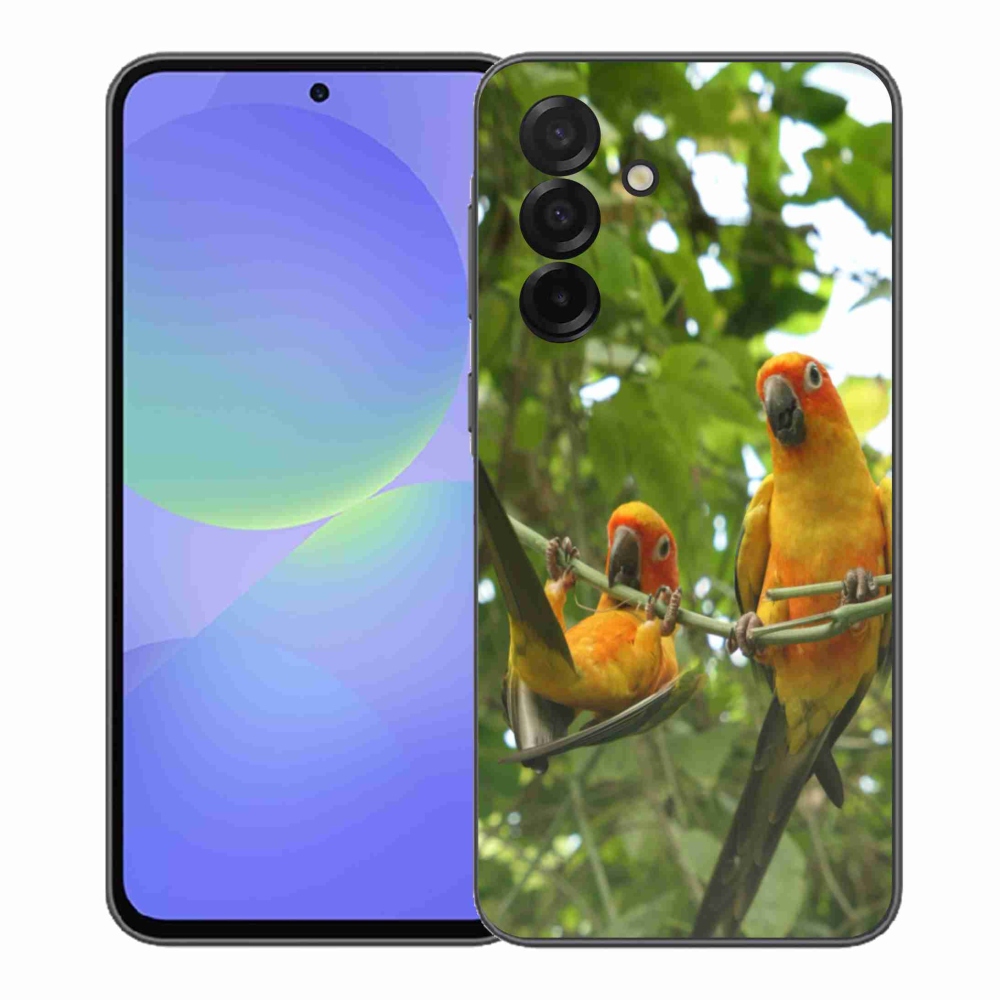 Gélový kryt mmCase na Samsung Galaxy A37 5G - papagáje aratingy