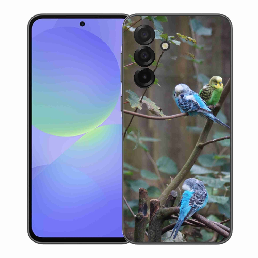 Gélový kryt mmCase na Samsung Galaxy A37 5G - papagáje na vetve