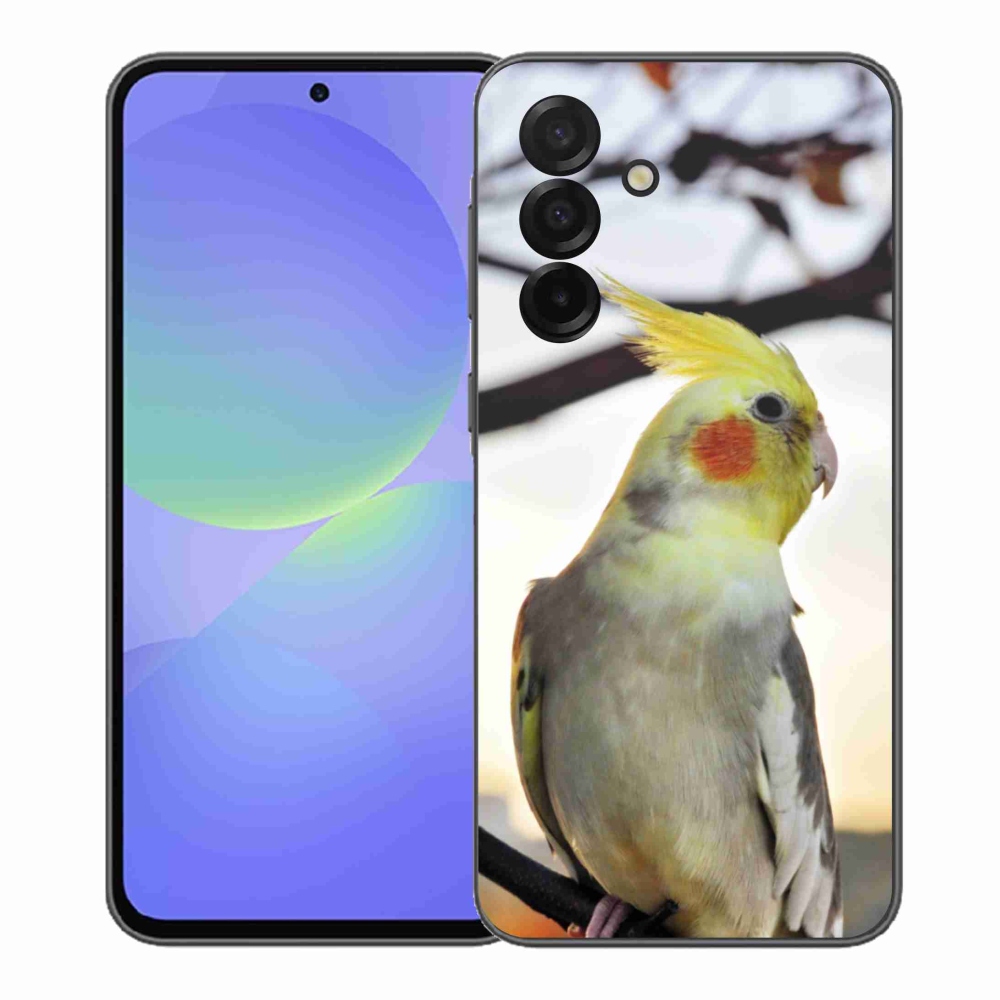 Gélový kryt mmCase na Samsung Galaxy A37 5G - papagáj korela