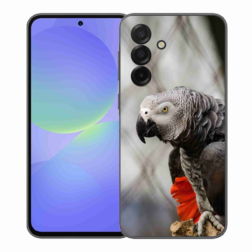 Gélový kryt mmCase na Samsung Galaxy A37 5G - papagáj žako 3