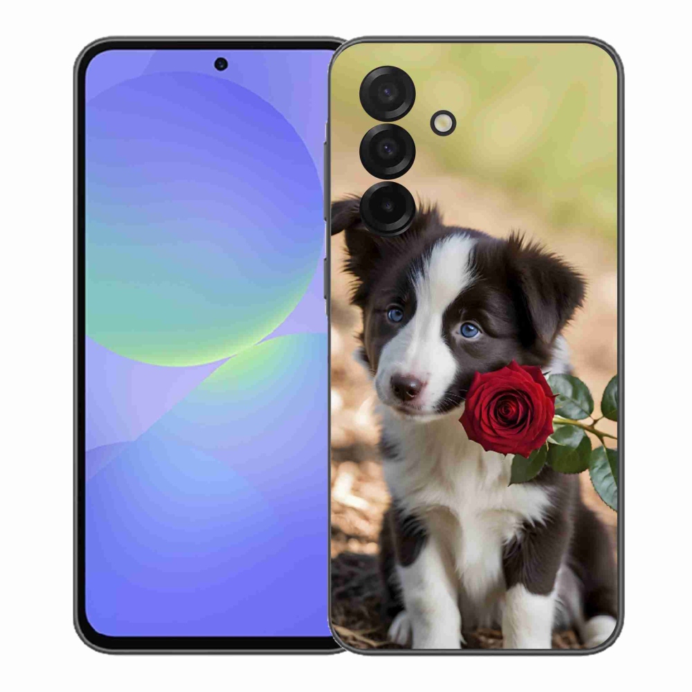 Gélový kryt mmCase na Samsung Galaxy A37 5G - roztomilá border kólia s ružou