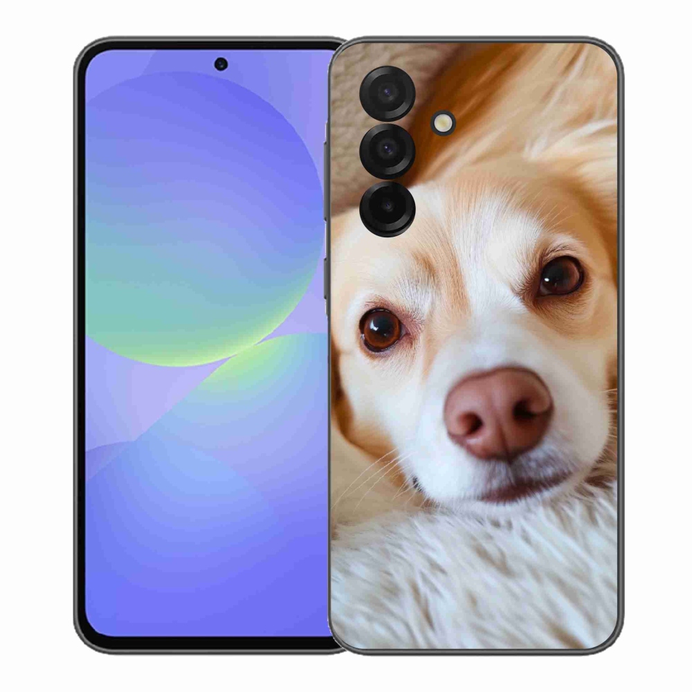 Gélový kryt mmCase na Samsung Galaxy A37 5G - Roztomilá čivava