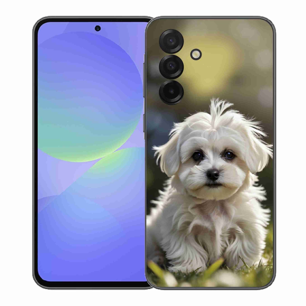 Gélový kryt mmCase na Samsung Galaxy A37 5G - roztomilý maltézsky psík