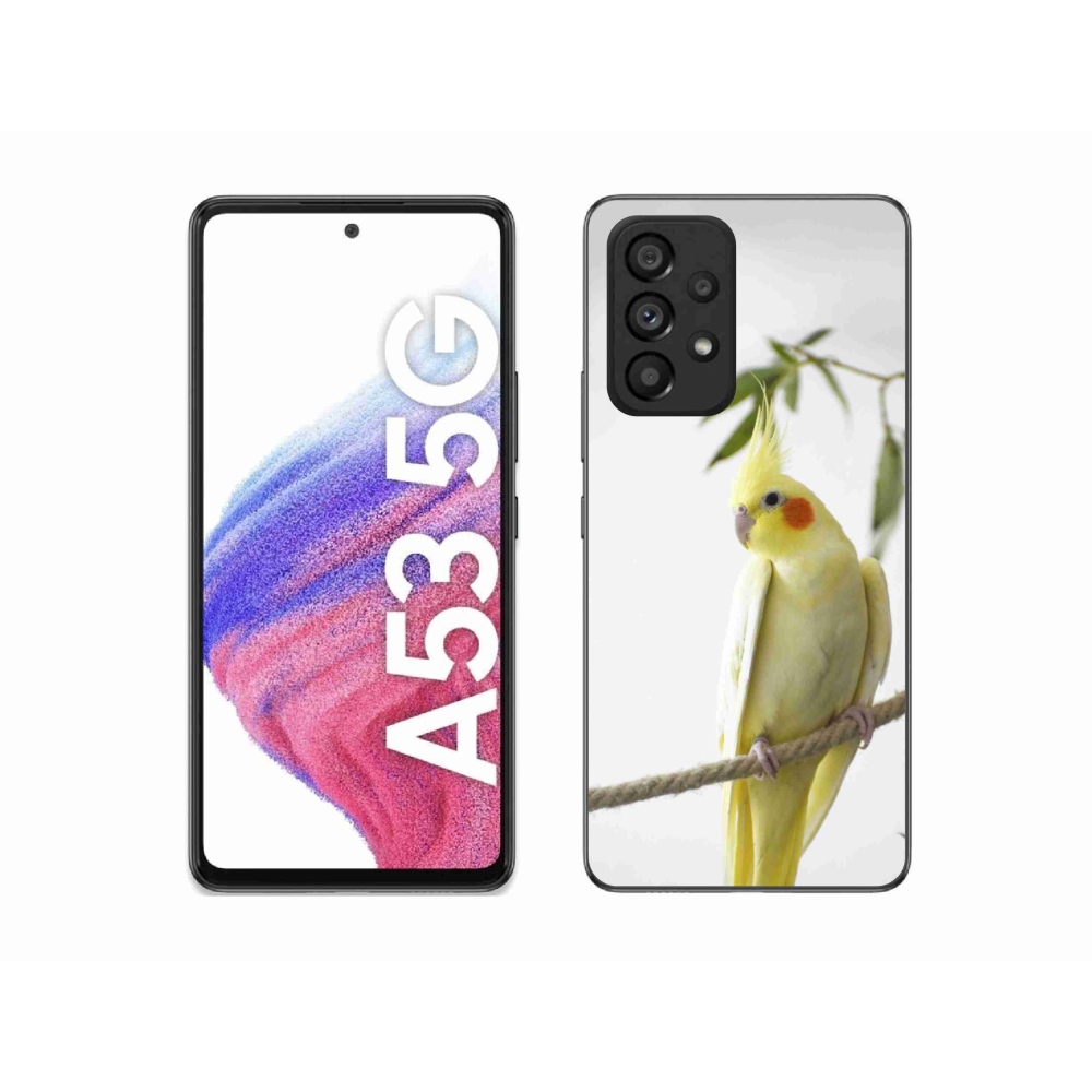 Gélový kryt mmCase na Samsung Galaxy A53 5G - papagáj korela chocholatá