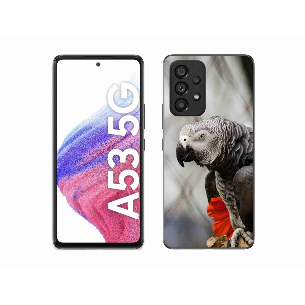 Gélový kryt mmCase na Samsung Galaxy A53 5G - papagáj žako 3