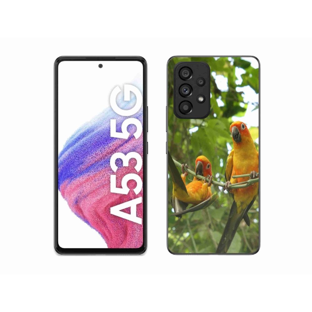 Gélový kryt mmCase na Samsung Galaxy A53 - papagáje aratingy