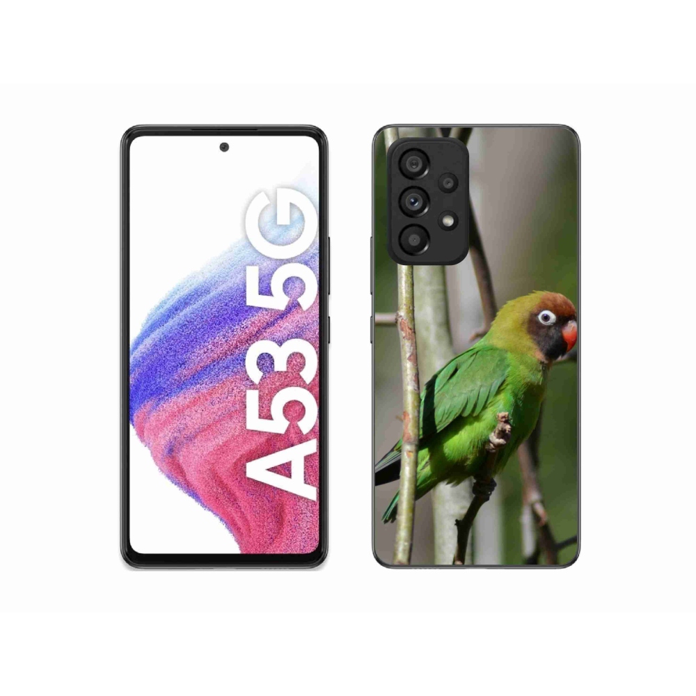 Gélový kryt mmCase na Samsung Galaxy A53 - papagáj agapornis