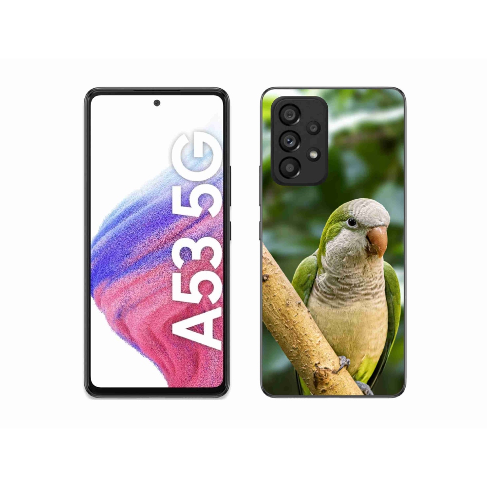 Gélový kryt mmCase na Samsung Galaxy A53 - papagáj mníšok